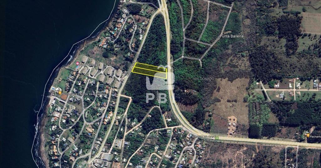 Lote en Lomo de la Ballena, Punta Ballena - Ref : PBI2926