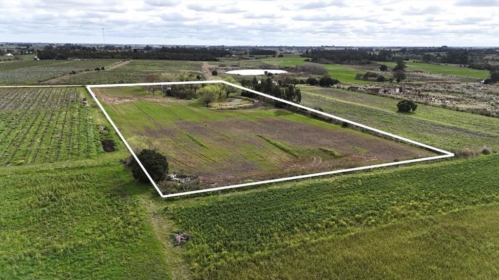 Vendo campo 2 hectáreas Pando Ru 75 casa y tajamar