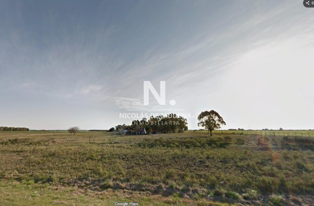 Campo de 10.5 Ha bien logistico en florida