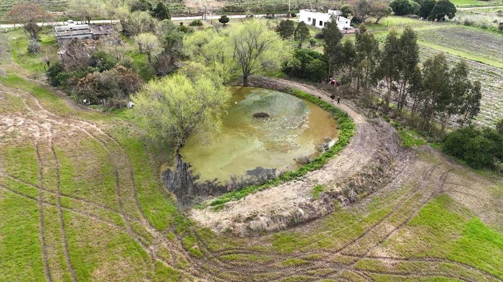Vendo campo 2 hectáreas Pando Ru 75 casa y tajamar