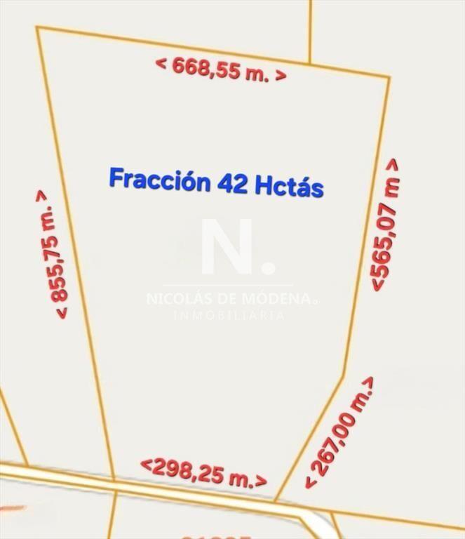 Campo de 42 Hectáreas con Alto Potencial de y -