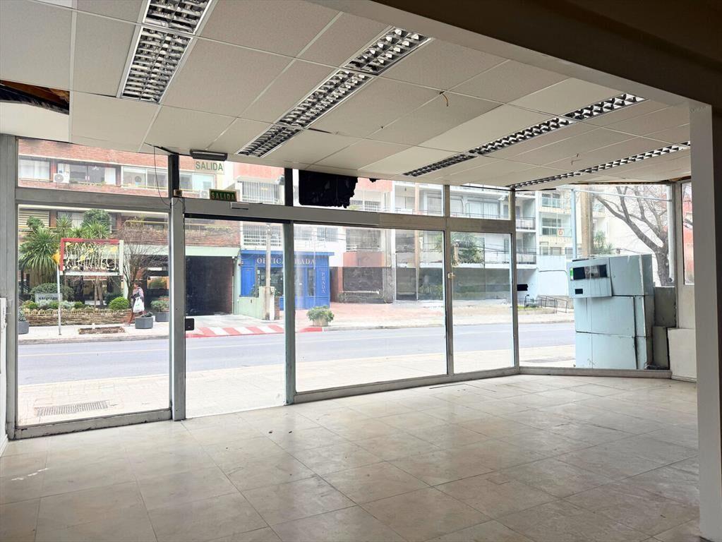 Alquiler local comercial en Punta Carretas
