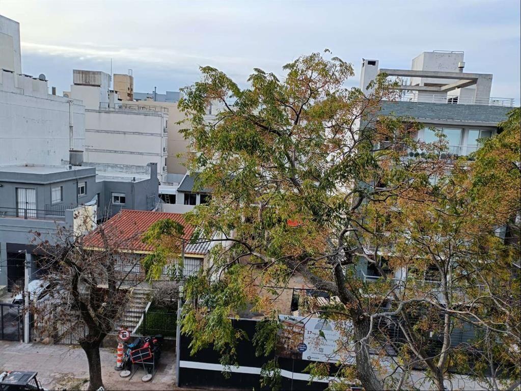 Venta Apartamento con Renta Buceo Monoambiente 1 Baño Terra