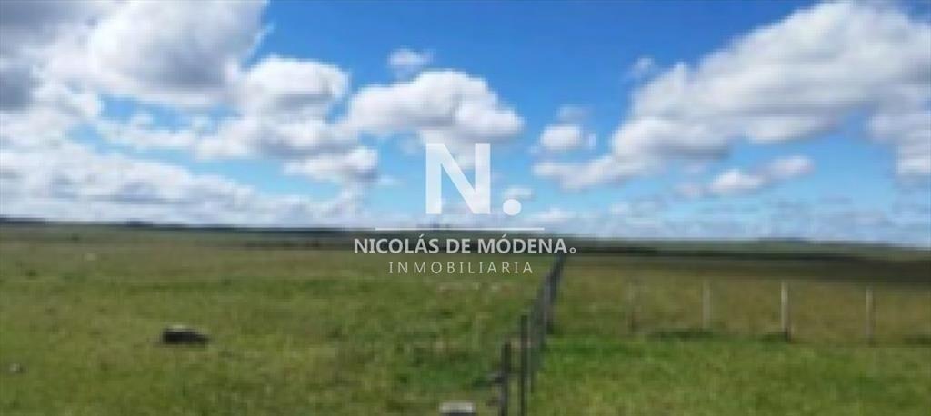 Vende campo en Salto, Costas de Arerungua.