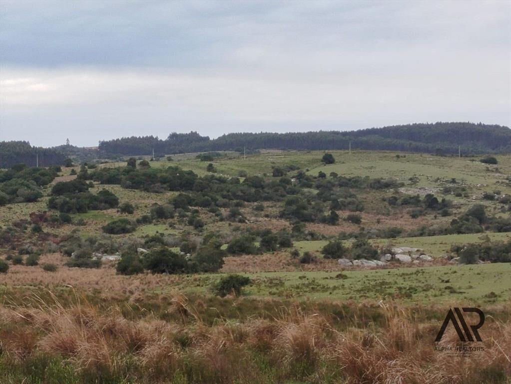 Gran Oportunidad 116 Ha En Garzón/maldondado, A 8 Km Del...