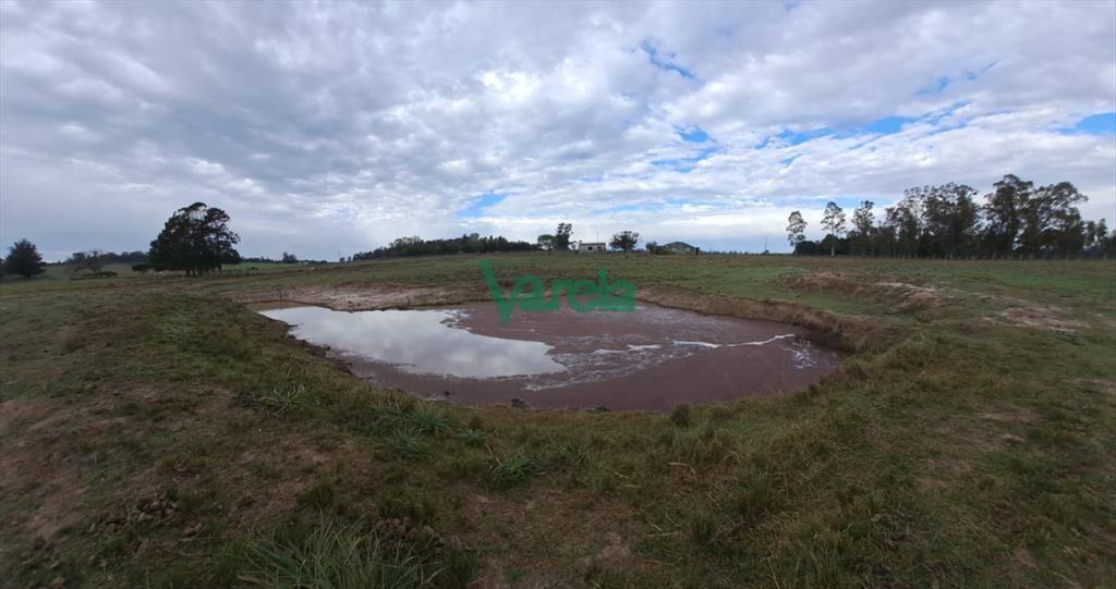Venta de Chacra, Ruta 11, km.152, de 3,5 has. a