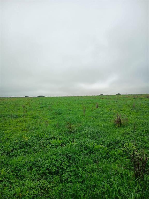 Campo 29,5 Hás. A17 Km de San José de Mayo