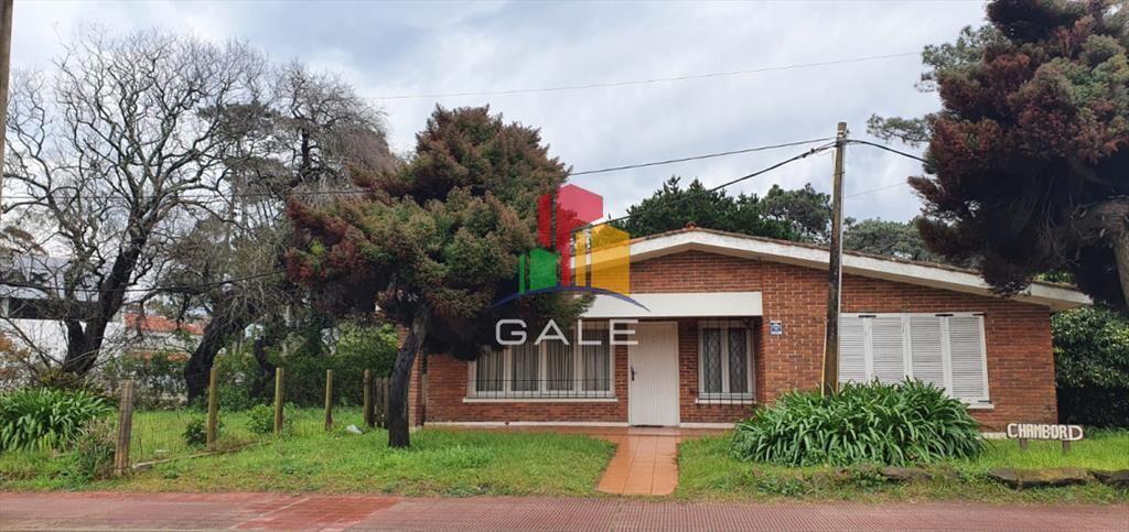 Punta del Este, área comercial Pda. 5