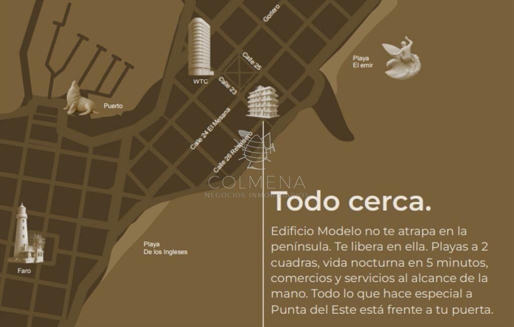 PROYECTO MODELO, nuevo lanzamiento en Punta del