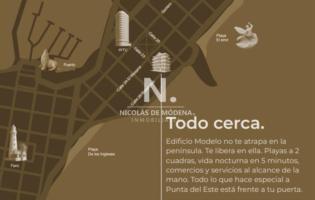 PROYECTO MODELO, nuevo lanzamiento en Punta del