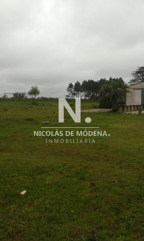 Campo próximo a ruta 12
