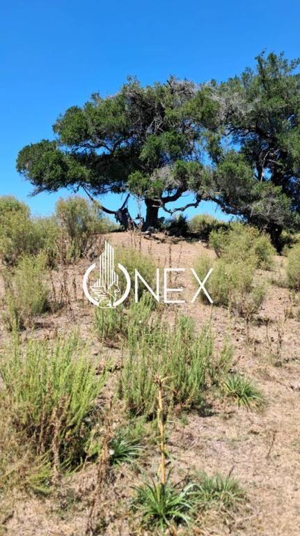 SE VENDE CHACRA DE 5 HA EN LAVALLEJA