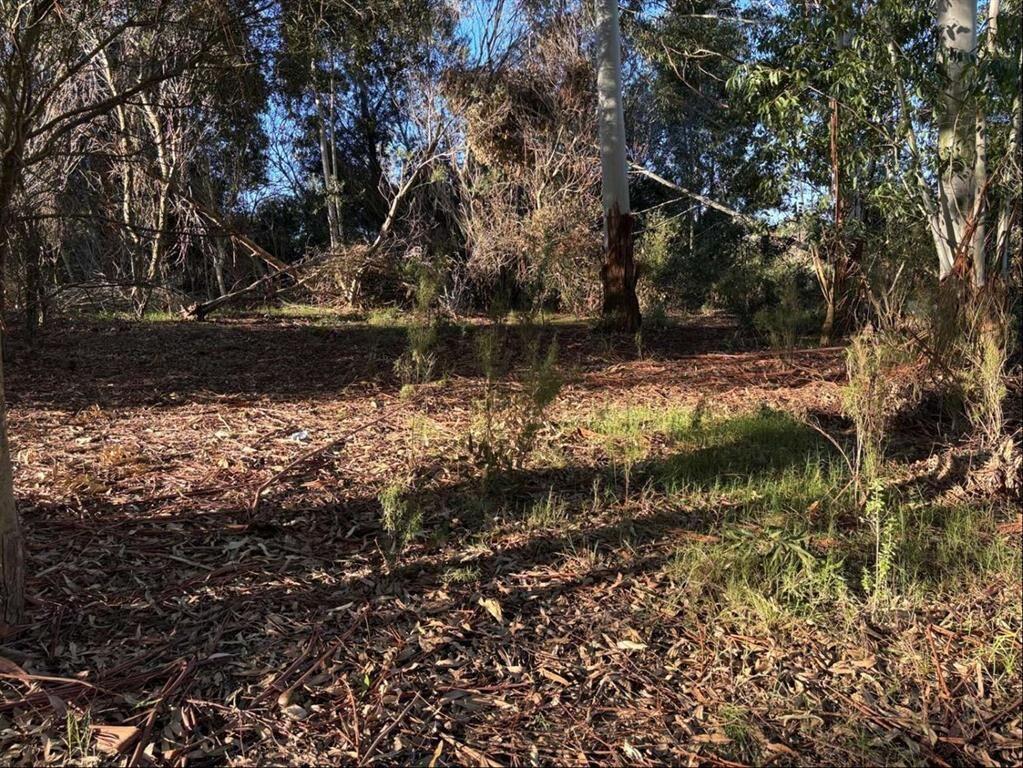 CHACRA 2 HÁ PRÓXIMO RUTA 34 Venta Empalme Olmos Costa de Oro