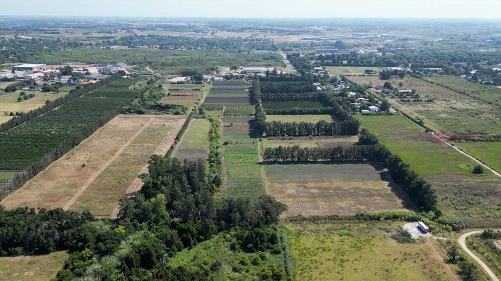 VENTA Terreno 55707 m2,LOGISTICA, PASO DE LA ARENA