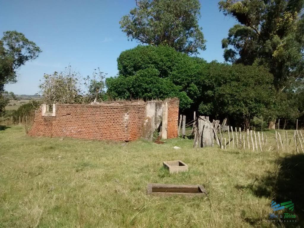 51 Has Campo Secreto