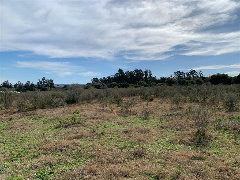 VENTA TERRENO DE 1.27 HECTAREAS EN SAN CARLOS