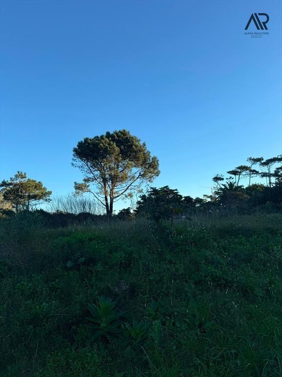 Terreno en venta de 2138m2 ubicado en Rincón del Indio