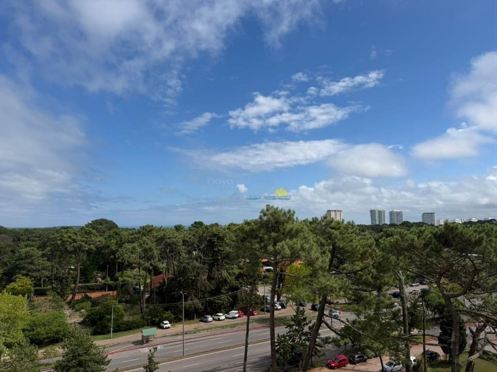 Apartamento en alquiler de 1 dormitorio en Punta