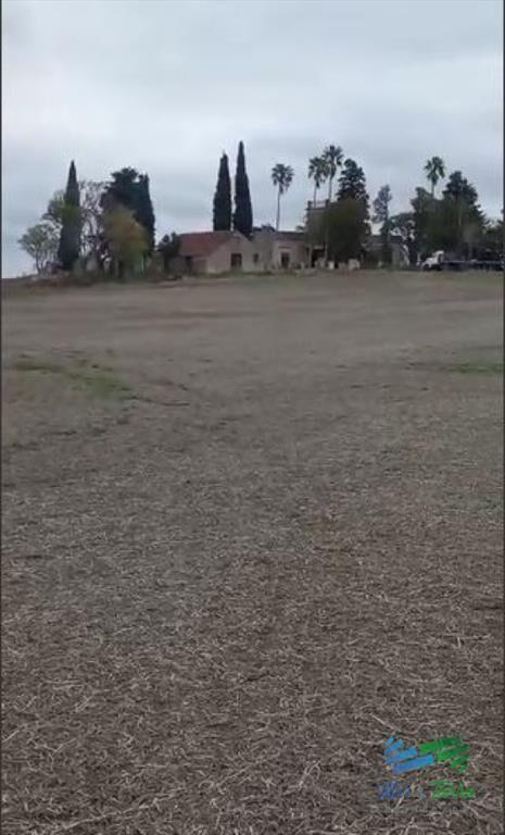 Excelente ubicación, Campo Mixto a poca de todo