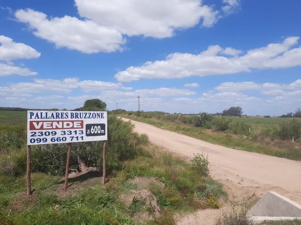 Buen predio rural, 24 héctareas a 600 m Ruta 5, KM 50.