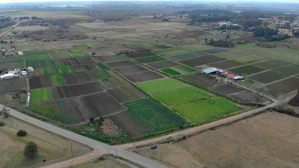 Venta campo de 7 Ha. en Camino Los Horneros