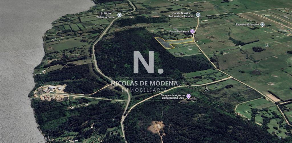 Campo de 5 has con 4658 m2 en La Pataia