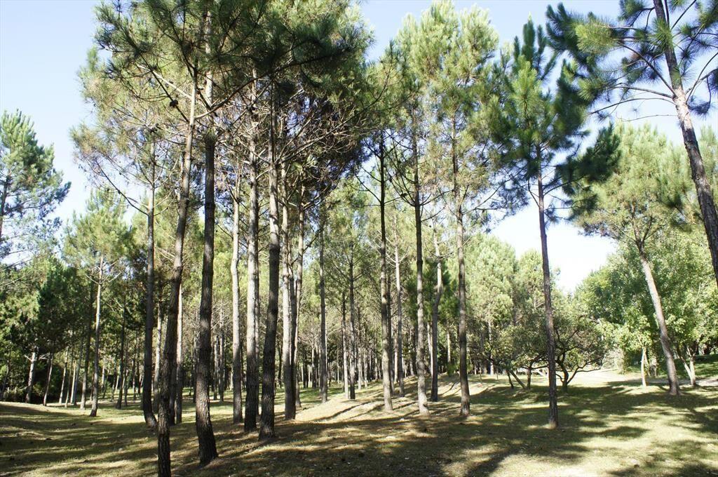 Venta de Lote de 10 Hectáreas sobre Ruta10 cerca de Valizas
