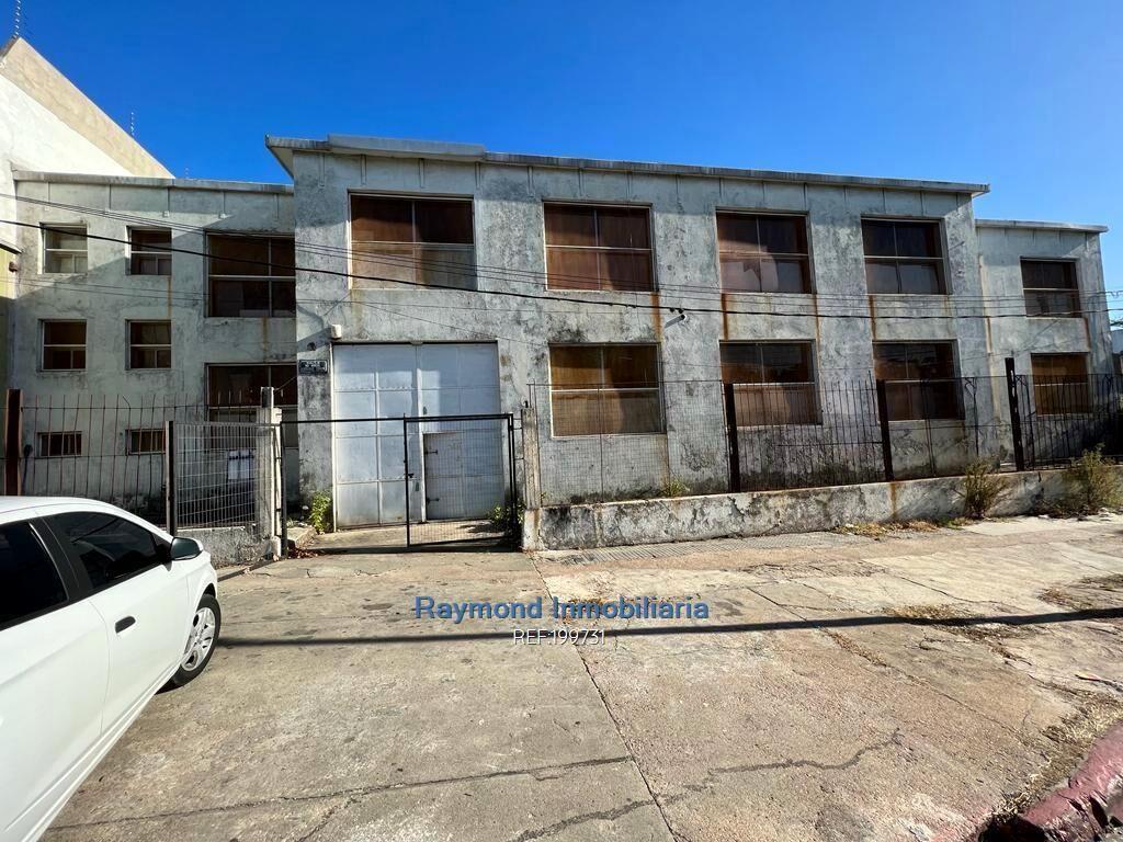 Venta local 1624m2 en Brazo Oriental con renta