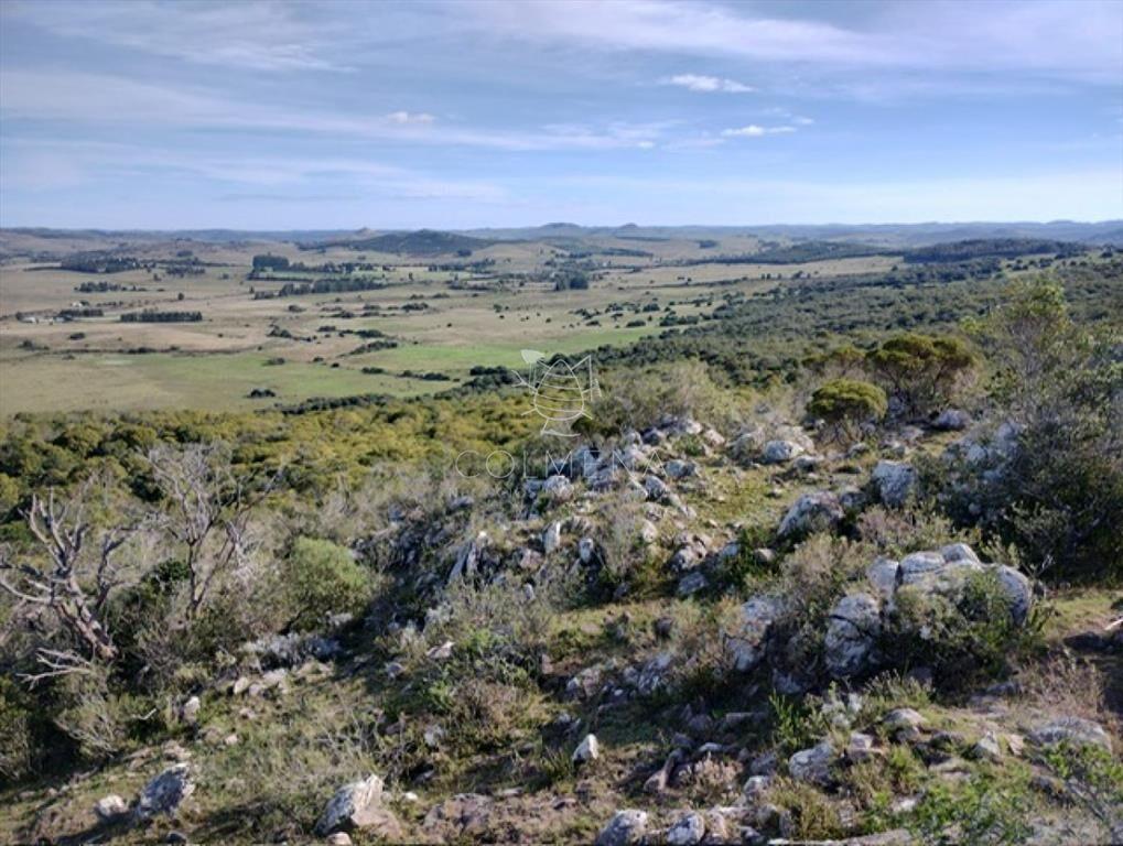 Campo en Lavalleja - 79 has con 8432 m2 -