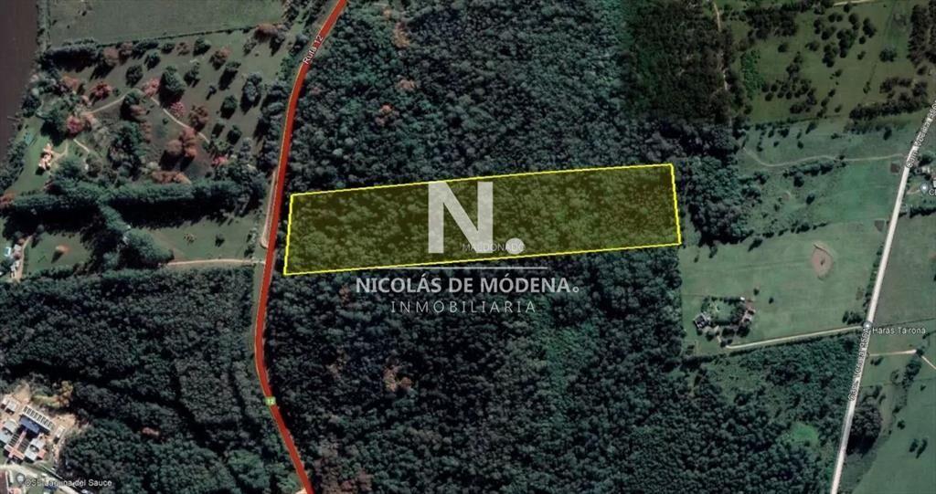 Chacra en Laguna del Sauce, Punta Ballena