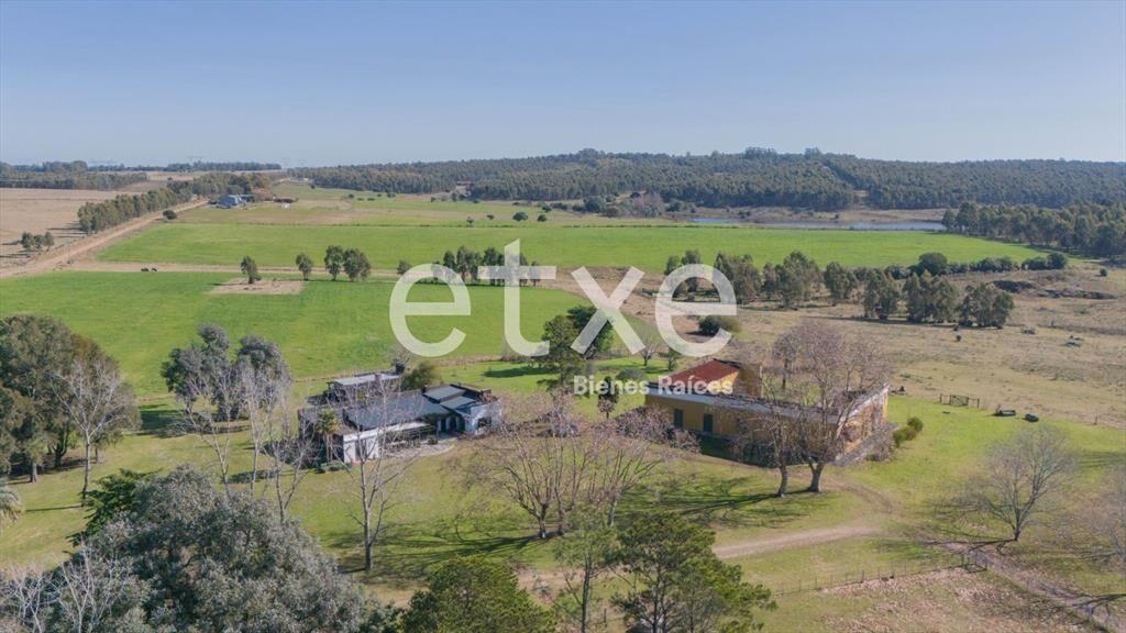 Campo Venta 382 Has Ruta 11 Canelones IDEAL FRACCIONAMIEN...
