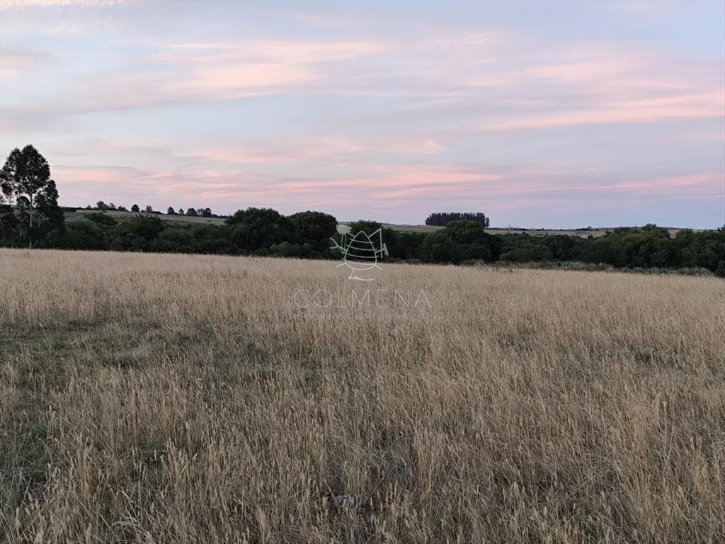 Campo de 30 has en Paso de Dutra