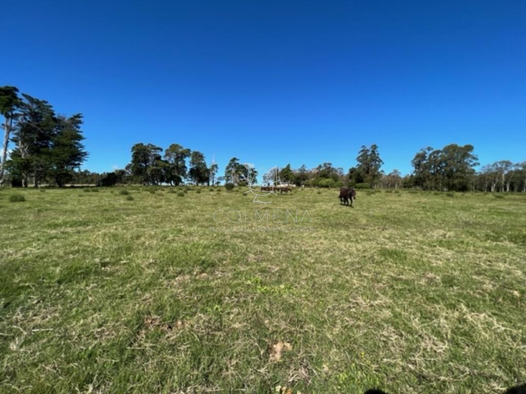 Campo 5 has con 2473 m2 sobre ruta 9