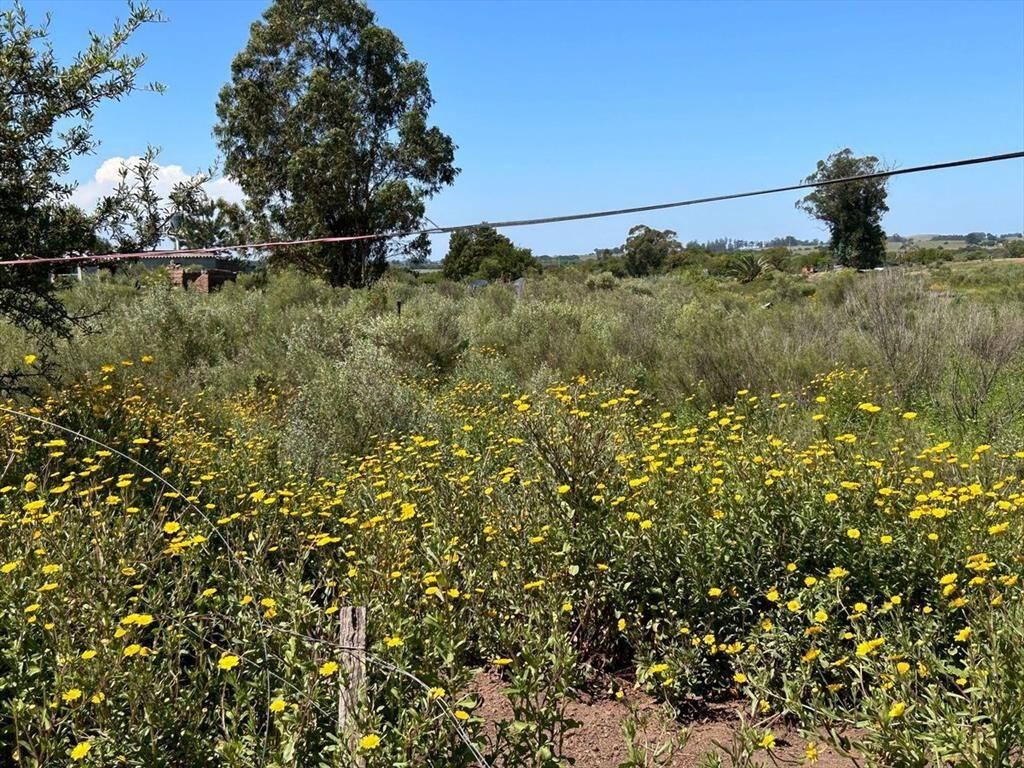 VENTA DE TERRENO SAN CARLOS MALDONADO