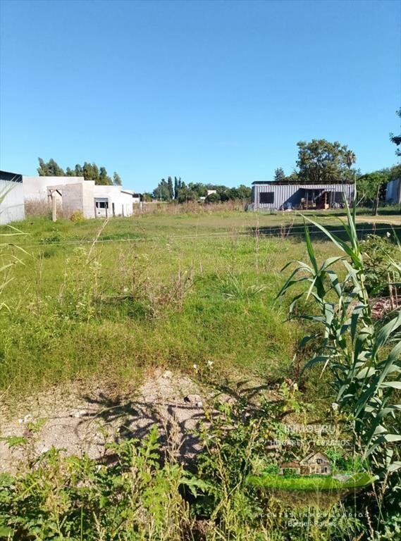 VENTA de gran terreno en 25 de mayo