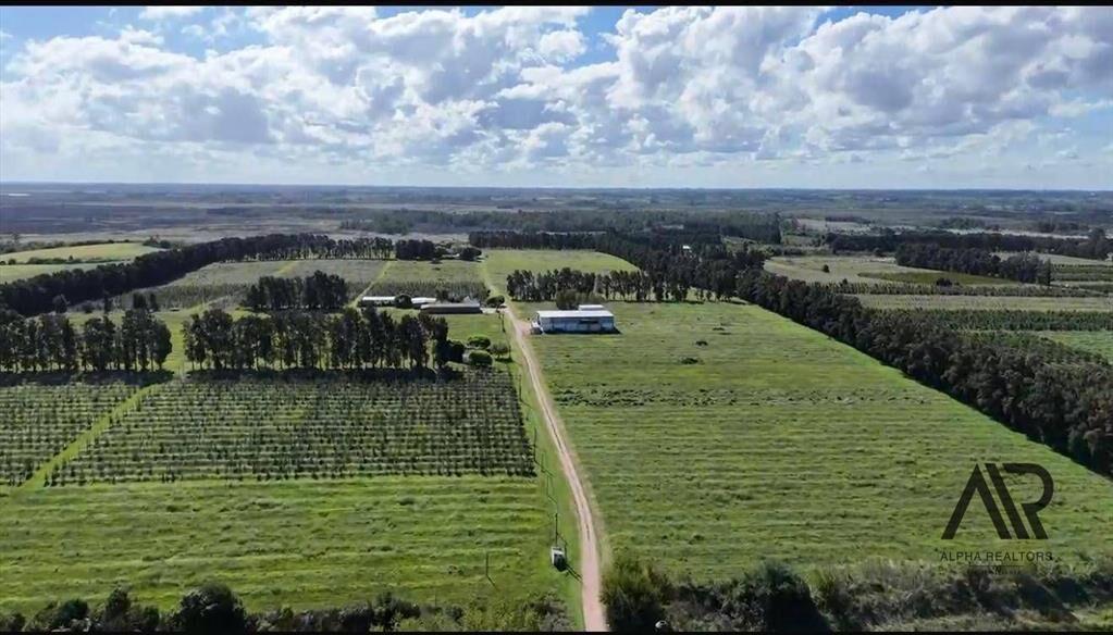 Campo en venta de 78m2 ubicado en Melilla