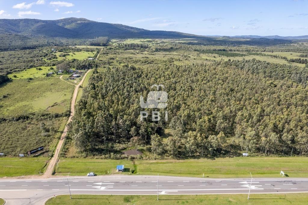 Chacra de 5Has sobre Ruta Interbalnearia, Las Flores - Ref