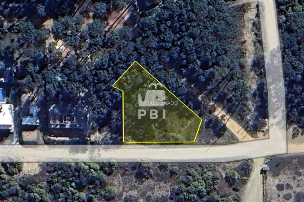 Terreno en venta en Ocean Park, Punta Ballena  -
