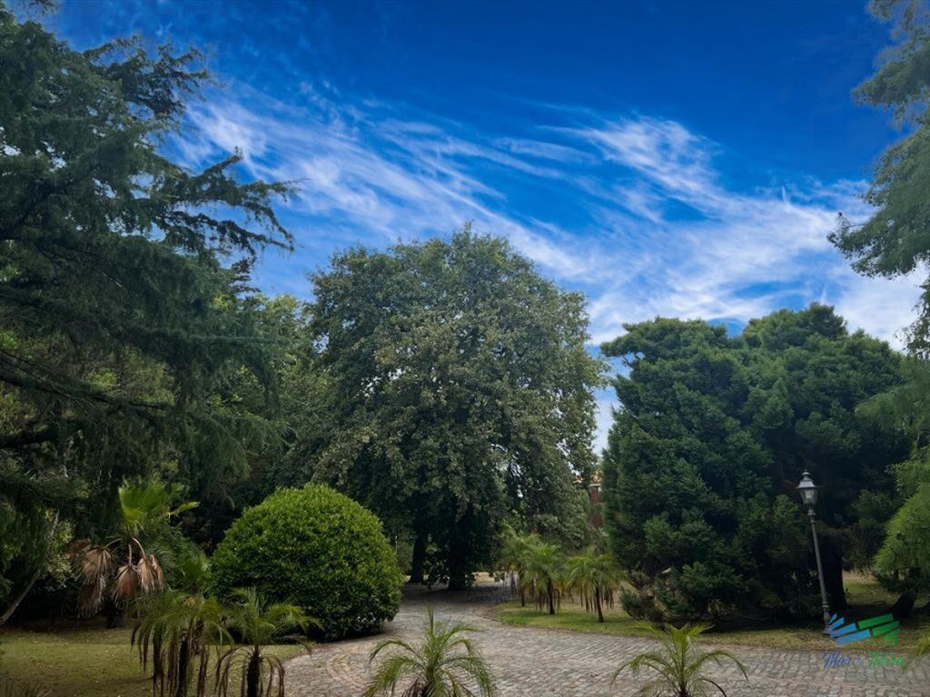 Venta de casa en Solanas Punta Ballena 8 8 baÃ±os