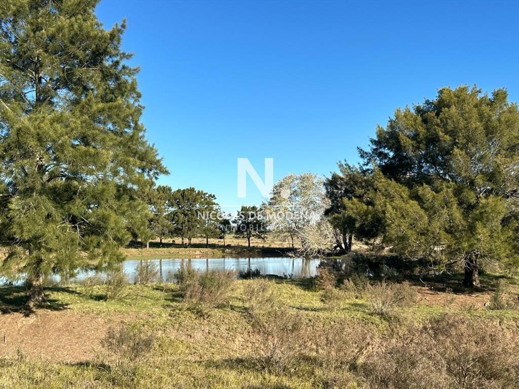 Vende campo en San Carlos Maldonado.
