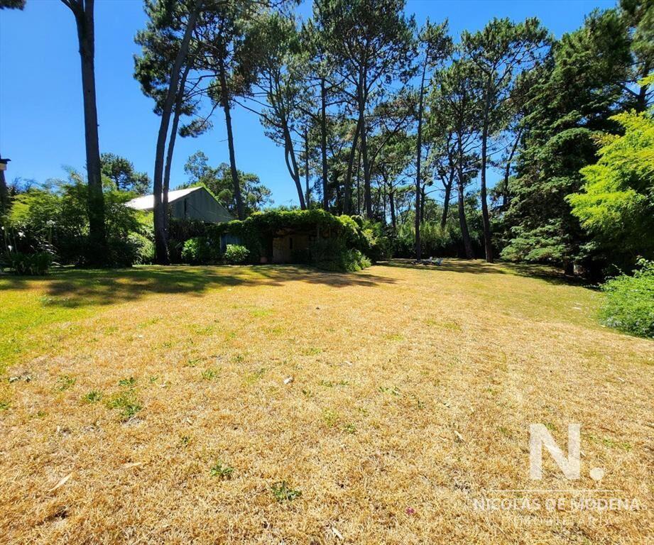 Venta Casa en Portezuelo, zona bosque, Punta Ballena
