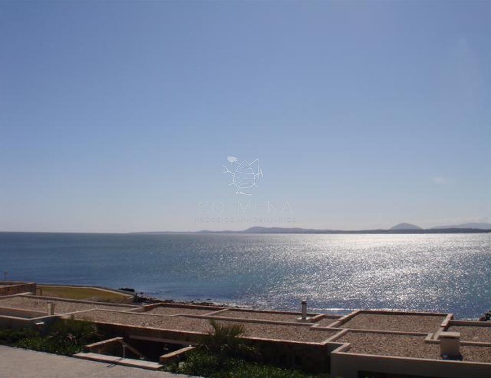 Punta Ballena
