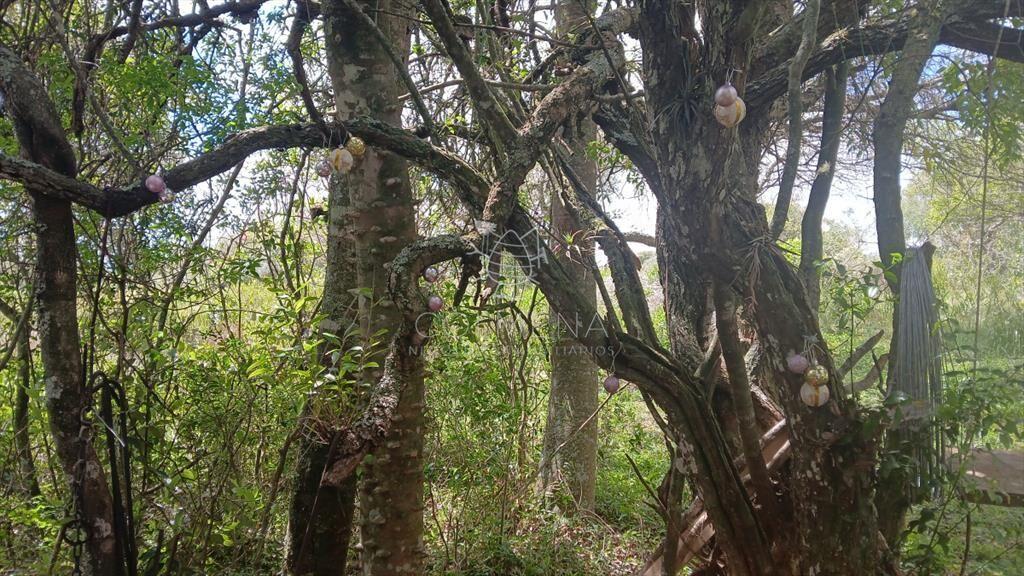 Chacra en VENTA en Aiguá