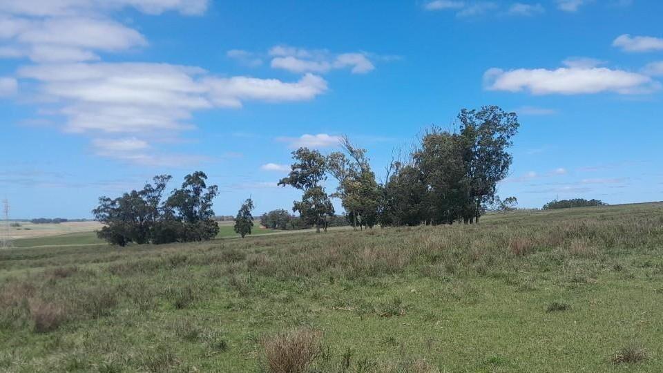 Campo en José Ignacio