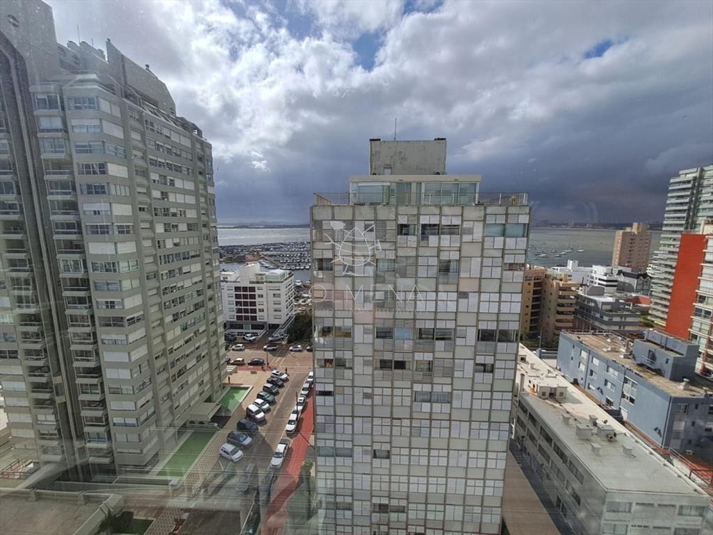 TORRE VAN GOGH