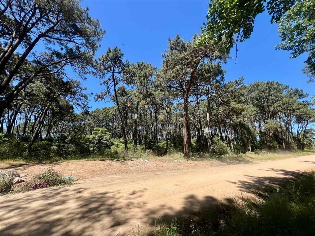 VENTA TERRENO DESARROLLO RINCON DEL INDIO