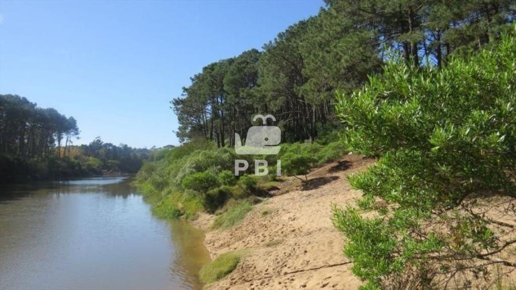 Terreno en venta Chihuahua  - Ref : PBI919