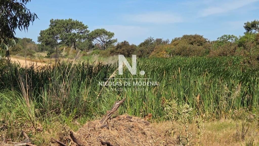 Vende terreno de 4223 m2 en Jose Ignacio
