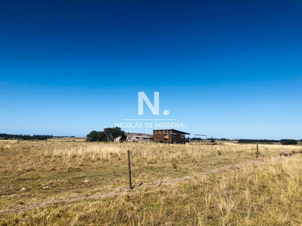 Campo en Jose Ignacio,