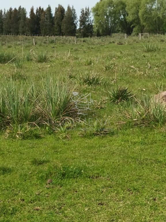 Campo en paraje Jose Ignacio cerca de la ruta 9